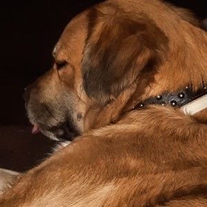 Meet your Posher, Kendall